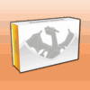 Charizard Ultra Premium Collection EN